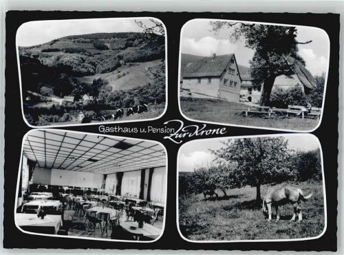Eiterbach Gasthaus Pension Zur Krone