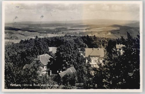 Felsberg Blick vom Ohlyturm