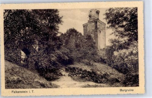 Falkenstein Burgruine