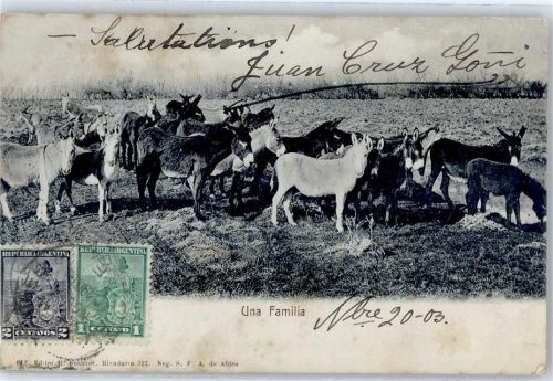 1903