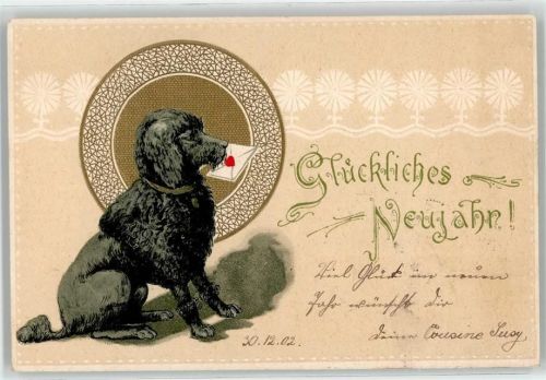 1902 Neujahr