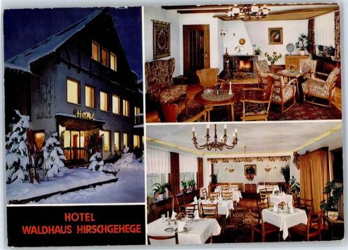 Oberhundem Hotel Waldhaus Hirschgehege