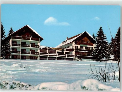 Erbendorf Hotel Gasthaus Steinwaldhaus