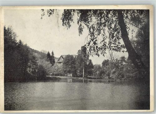 Lahr Hotel Hohbergsee