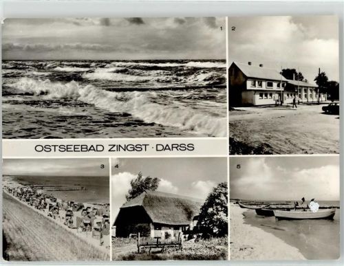 Zingst Strand Erholungsheim Stranddistel