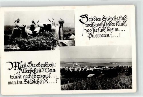 Stockerau Störche Storchennest Ort lt. Stempel