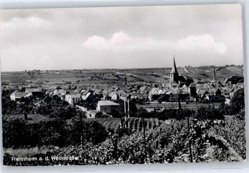 Freinsheim