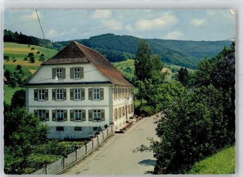 Welschensteinach Gasthaus Pension Zum wilden Mann