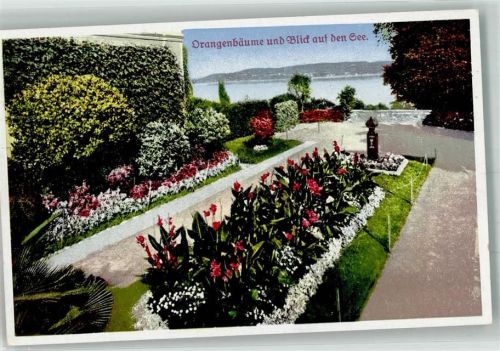 Insel Mainau Orangenbäume in den Parkanlagen