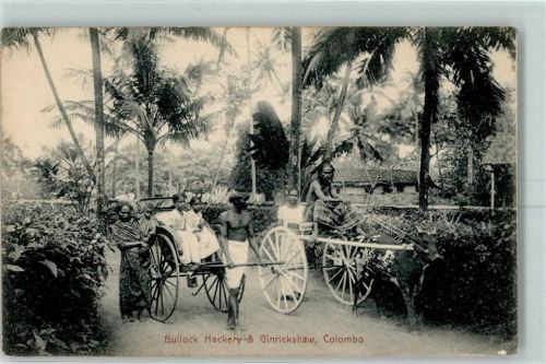 Colombo Bullock Hackery Ginrickshaw