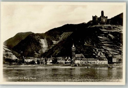 Wellmich Burg Maue