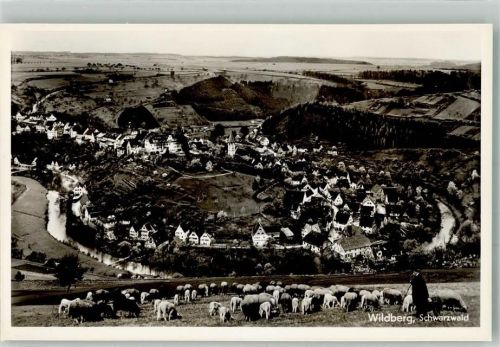 Wildberg