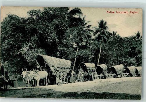 Native transport