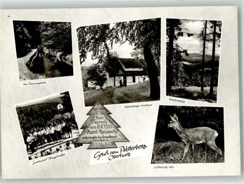 Clausthal-Zellerfeld Polsterberger Hubhaus Oberharz Dammgraben Brockenblick Reh Ewerharzer Pfingsttreffen