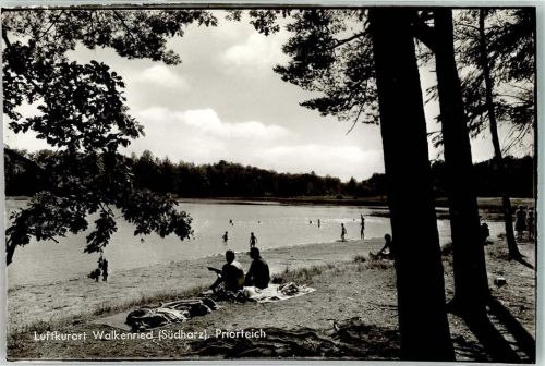 Walkenried Priorteich Strandbad