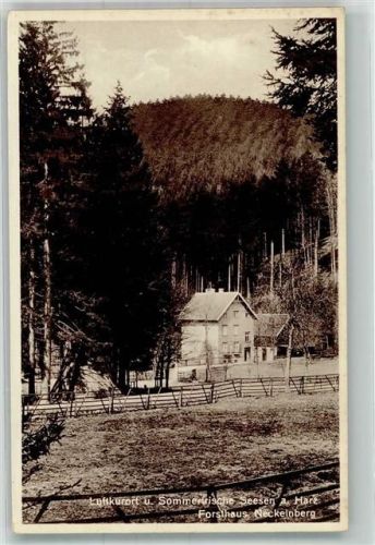 38723 W3370 Seesen , Harz Foto AK Forsthaus Neckelnberg Verlag Pförtner Nr. 12127