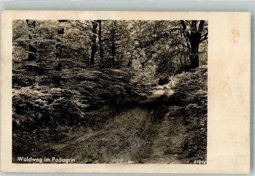 Neuhaldensleben Waldweg im Podagrin Ort lt. Stempel