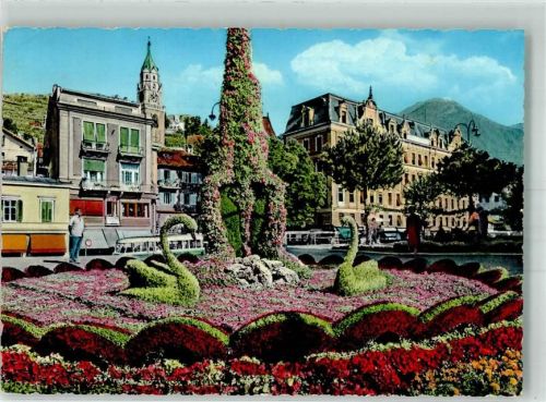 Meran Kurpromenade Omnibus Blumenbeet Schwäne