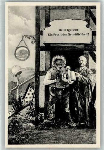 91220 W8563 Schnaittach - Gasthaus Igel Schlossberg