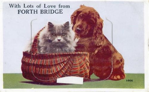 South Queensferry South Queensferry (Großbritannien) Leporello Hund, Katze, Forth Bridge II (Stauchung)