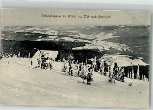 Arberschutzhaus Winter