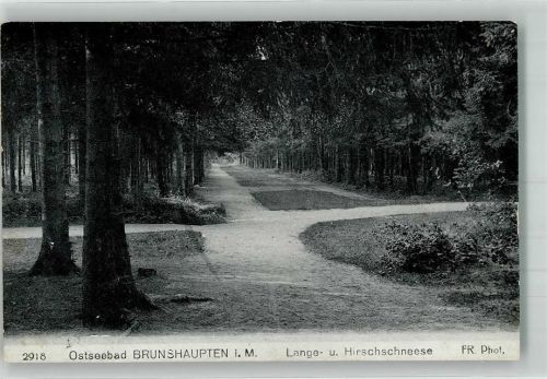 Brunshaupten 1922 Langeschneese Hirschschneese