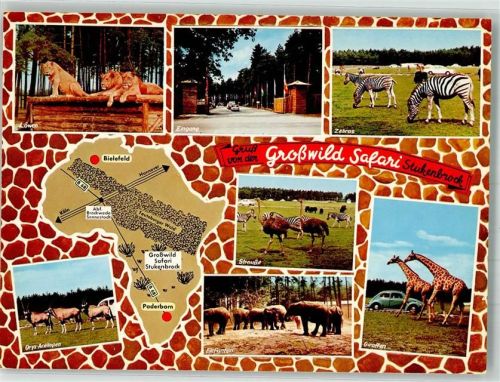 Stukenbrock Senne-Großwild-Safaripark Löwen Antilopen Elefanten Giraffen Strauße Zebras