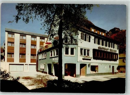 Altensteig Gasthaus Pension zur Traube m. Gästehaus