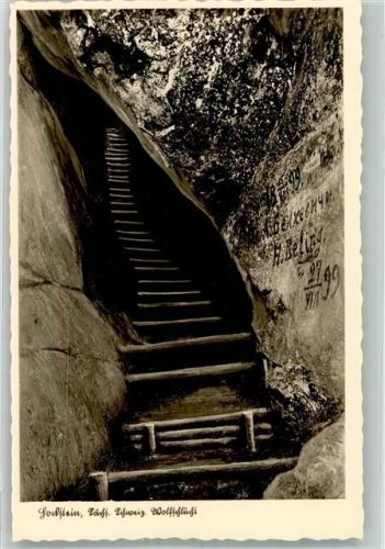 01848 O8352 Hohnstein Foto AK Wolfsschlucht