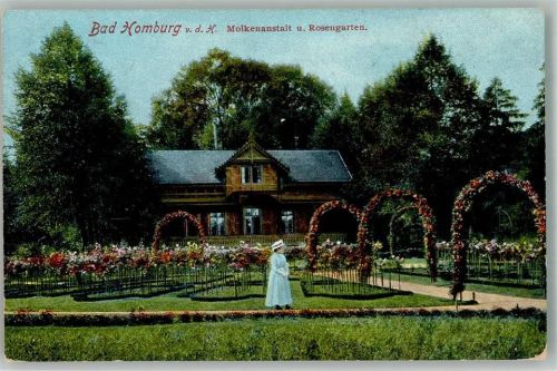 Bad Homburg 1911 Rosengarten Molkenanstalt