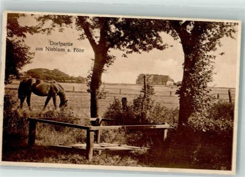 Nieblum 1925 Dorfpartie Pferd