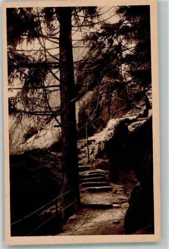 Bühlertal Treppe zum Wiedenfelsen
