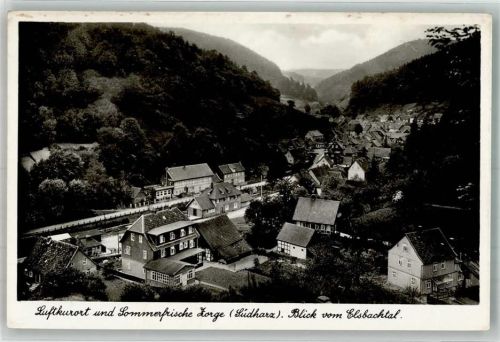 Zorge Panorama des Ortes mit Bahnhof
