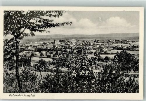 Waldmohr