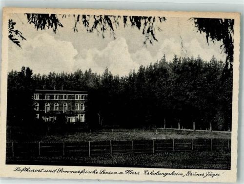 Seesen Sanatorium Erholungheim Grüner Jäger Verlag Thoericht 13923