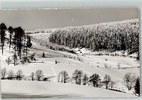 Willingen Winter Skihang in der Wamecke
