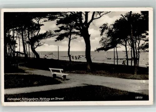 Kühlungsborn 1944 Waldweg am Strand Fotograf Geyer & Co.