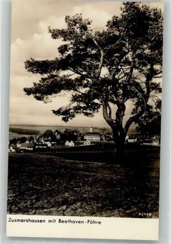 Zusmarshausen 1942 Panorama des Ortes mit Beethoven-Föhre Fotograf Reitmaier