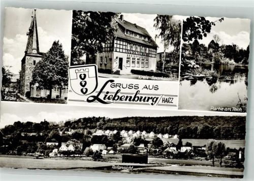 Liebenburg Kirche Kreis-Sparkasse Teich Panorama des Ortes