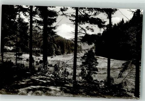 Willingen Hermeketal
