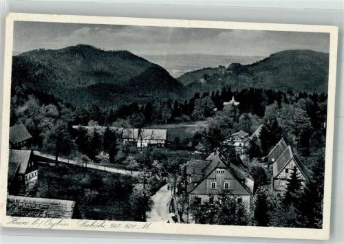 Hain 1943 Panorama des Ortes