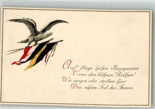1916 Adler mit Schwarz-Weiß-Roter und Schwarz-Gelber Fahne in den Fängen HWB 410/13