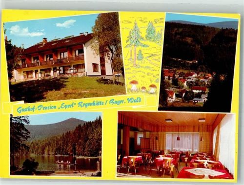 Regenhütte Gasthaus Pension Sperl
