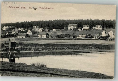 Hahnenklee-Bockswiese 1913 Panorama des Ortes