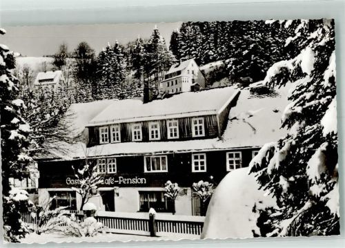Willingen Winter Gasthaus Cafe Pension Sauerländer Hof