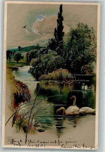 Schwanenteich in Sommerlandschaft Mondschein-Postkarte 99115