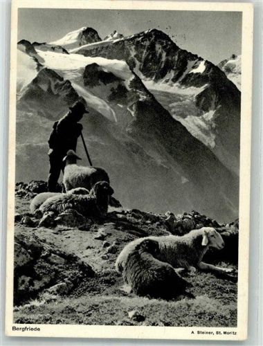 1937 Hirte mit seiner Herde im Hochgebirge Fotograf Steiner