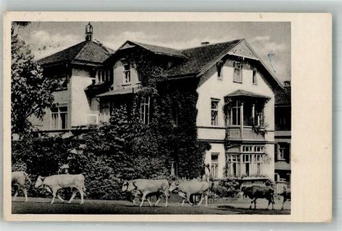 Tabarz 1959 Pension Haus Gesang