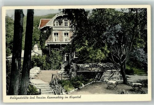 Lorch Gasthaus Pension Kammerburg im Wispertal
