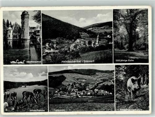 Heimbuchenthal Panorama des Ortes Märchenschloss 1000jährige Eiche Wildschwein Jagdtiere Fotograf Alfred Dittmann
